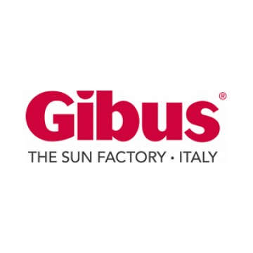 Gibus