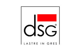 DSG