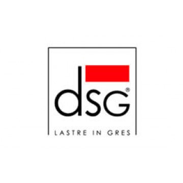 DSG