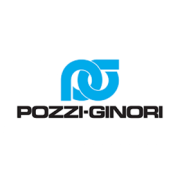 Pozzi ginori